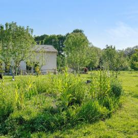 Gites de l'hivet, hotel v destinácii Merdrignac