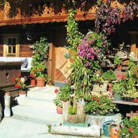Apartments Schatzberg-Haus, Wildschönau-Auffach, hotell i Auffach