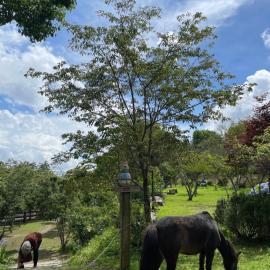 Ri Chu Yun Lai Homestay、仁愛郷のホテル