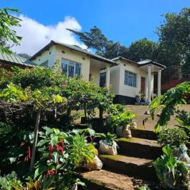 Naisi spur, hotel di Zomba