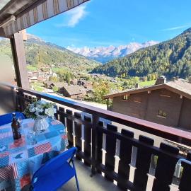 Bright studio in the heart of Le Grand-Bornand