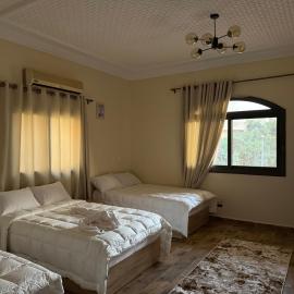 Stay Inn New Cairo