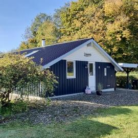 Ferienhaus-zwischen-Wald-und-Meer-mit-Sauna-und-Kamin, hotel in Åbjerg
