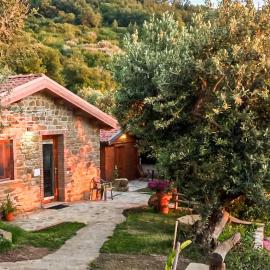 1 Bedroom Nice Home In Laureana Cilento