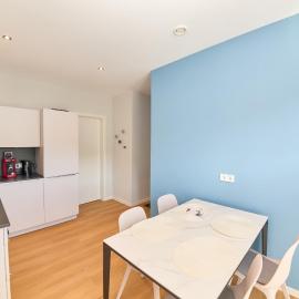Burgblick Apartment Schieferblau