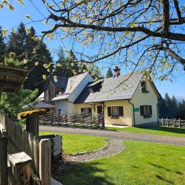 Almhütte, Ferienhaus Hadn Hube, hotel in Paisberg