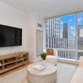 Luxury Apartments in Downtown Manhattan Skyline Views
