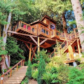 Owl's Perch Treehouse、スークのホテル