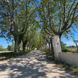 Le PAYSAN