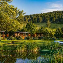 Stanica pod Zadzierną Kemping Domki letniskowe, hotel in Lubawka
