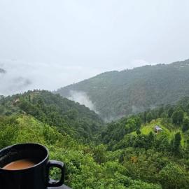 The Kanatal Greenhood โรงแรมในคานาตัล
