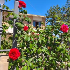 Bell'idea Experience Apartments, hotell sihtkohas Montone
