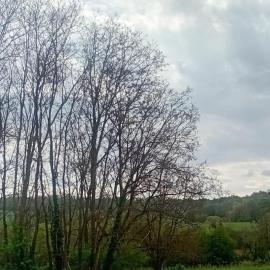 Saarlouis2