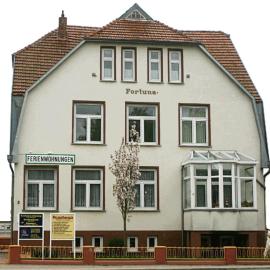 Fortuna I
