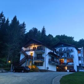 Hotel Trei Brazi, hotel din Băile Olăneşti