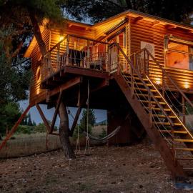 the Treehouse Project, hotel di Patra