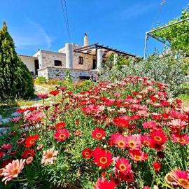 Sevi's Traditional House