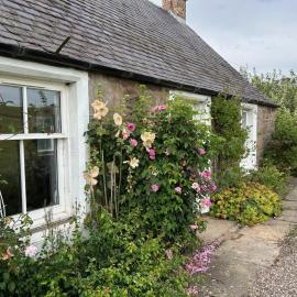 Broombarns Farm Cottage, hotel in Forgandenny