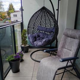 Apartament noclegi