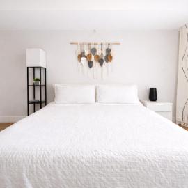 Bright Private 1BR Suite with Separate Entrance