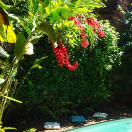 Casa Flor