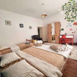 Artisan Center Apartment Peja