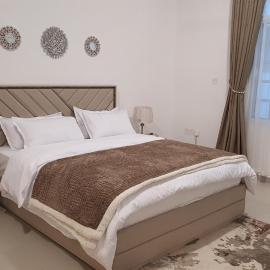 Luxurious Baushar Apartment