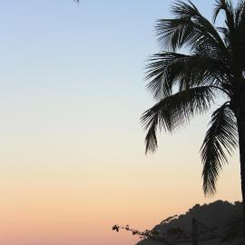 Casa Blanka 2010 - Eco Surf Guest House, מלון באיטה קרה