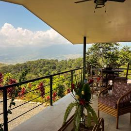 Luxury In The Jungle