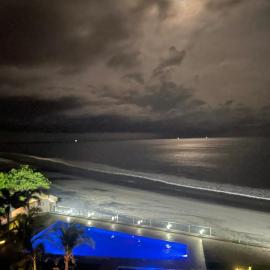 Royal palm Nueva Gorgona