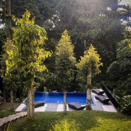 Umah Kayu Guest House