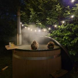 Chalet Reelax hottub en vrij uitzicht over het bos, hotel v destinaci Diessen