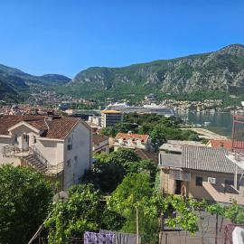 Žana