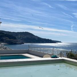 Royal Lux Spacious seaside pool