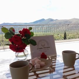 Green Horizon, Hotel in Margariti