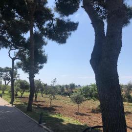 Villa Selas