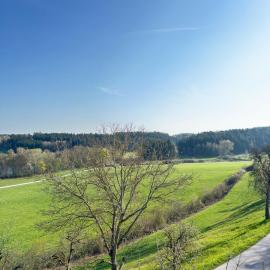 Landblick Segringen
