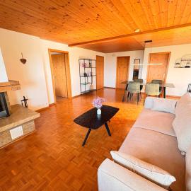 Alpine Chalet Apartment - Terrace & Mountain View