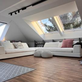 Modern Attic Loft