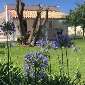 Nina's Garden - Private Villa with Pool, hotel u gradu Contrada Maeggio