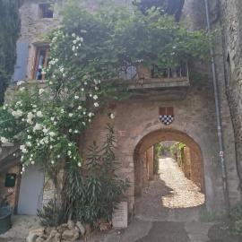 Jolie maison typique a 300m de l'Ardèche, hotel in Salavas