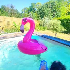 Maison 7 personnes avec piscine proche de Disneyland Paris