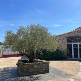 Gîte Chez L'Oie-S'Eau 15personnes