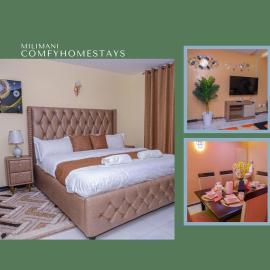 Milimani Apartment Nakuru Comfy Homestays