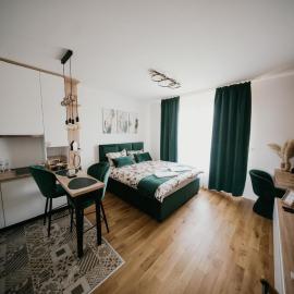D Mol Studio apartman