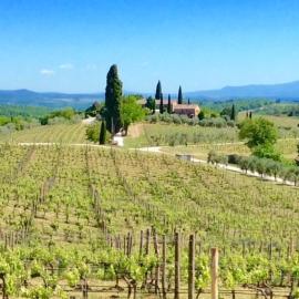 Casa Rossella, incantevole casa con piscina in Tenuta storica del Chianti