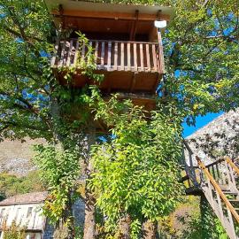 TreeHouse, hotel a Bar