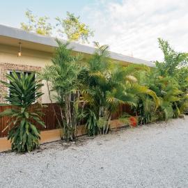 Casa Shalom Green