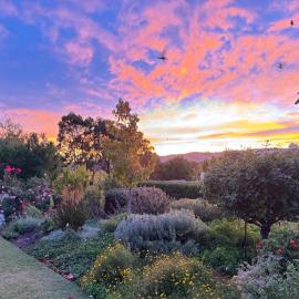 Barossa Garden Homestay