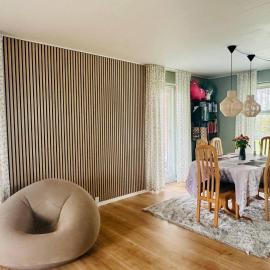 Family private house, hotel in Brovst